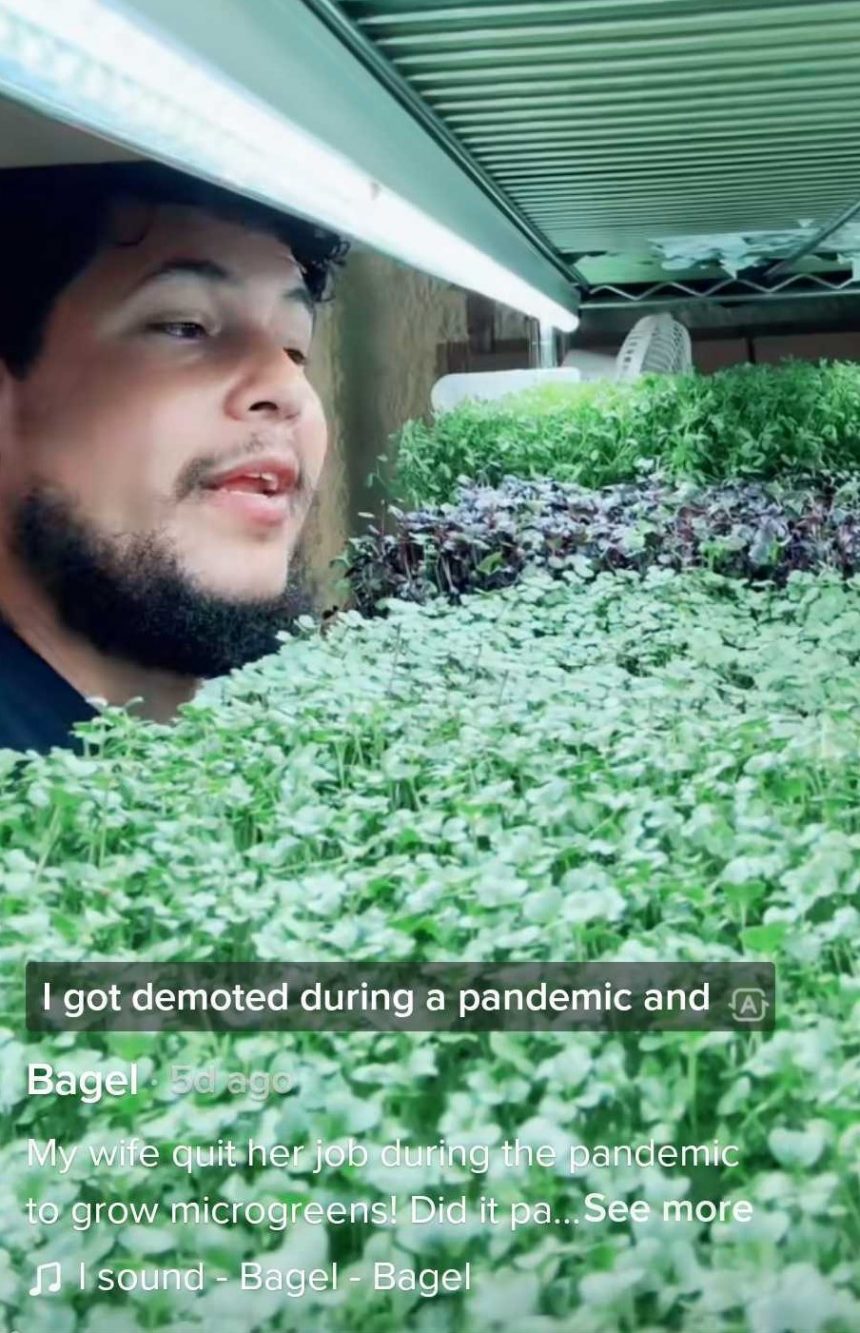 Growing super food bagelfinagle